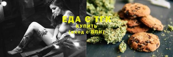 хмурый Алексин