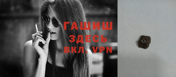 хмурый Алексин