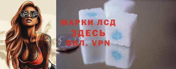 хмурый Алексин