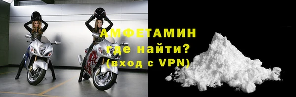 винт Лагань