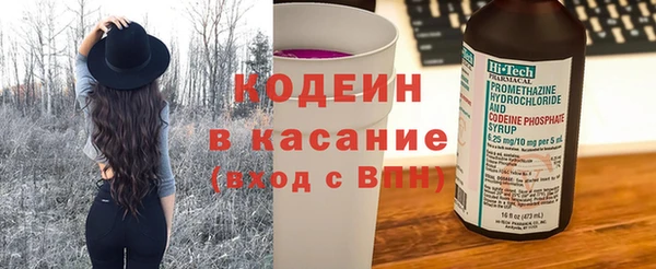хмурый Алексин