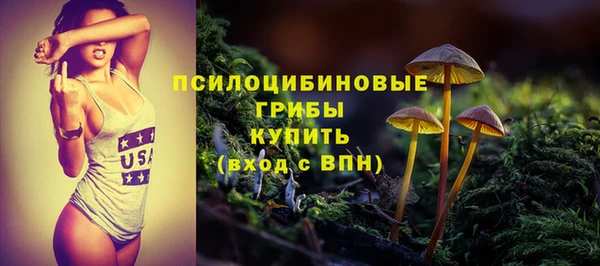 хмурый Алексин
