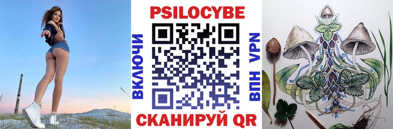 Псилоцибиновые грибы Psilocybe  Кирс 