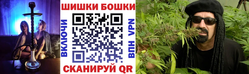 Бошки марихуана Amnesia Кирс